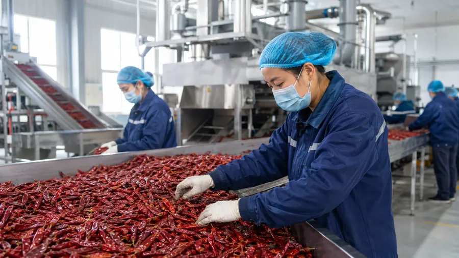 Workers inspecting chili products on a processing line